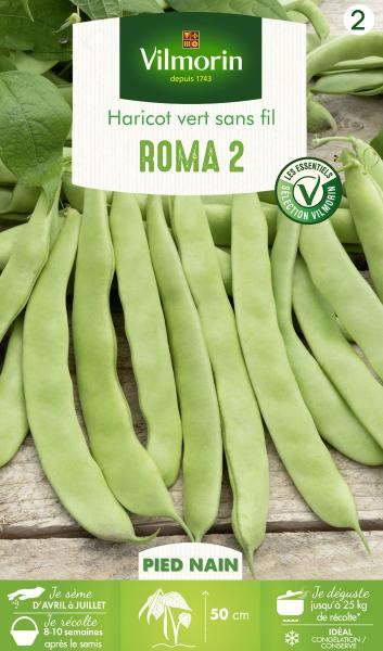 Légumes Secs - Haricot Nain Vert Plat Roma 2 - PACKAGING_RECTO